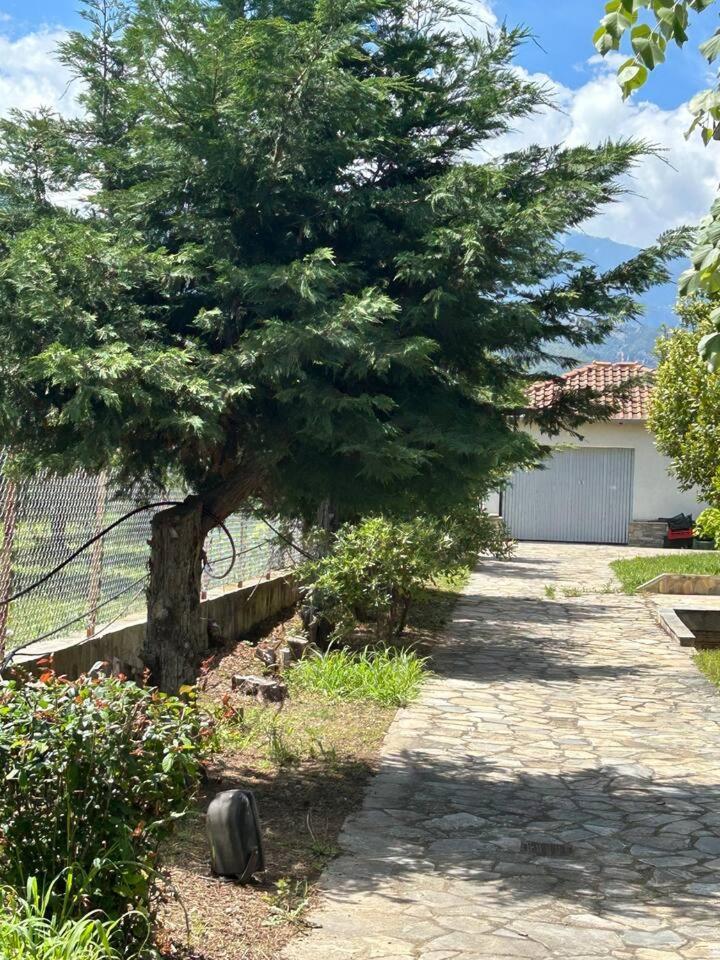 Zeusplace Karia Villa Natura Leptokarya  Exterior photo