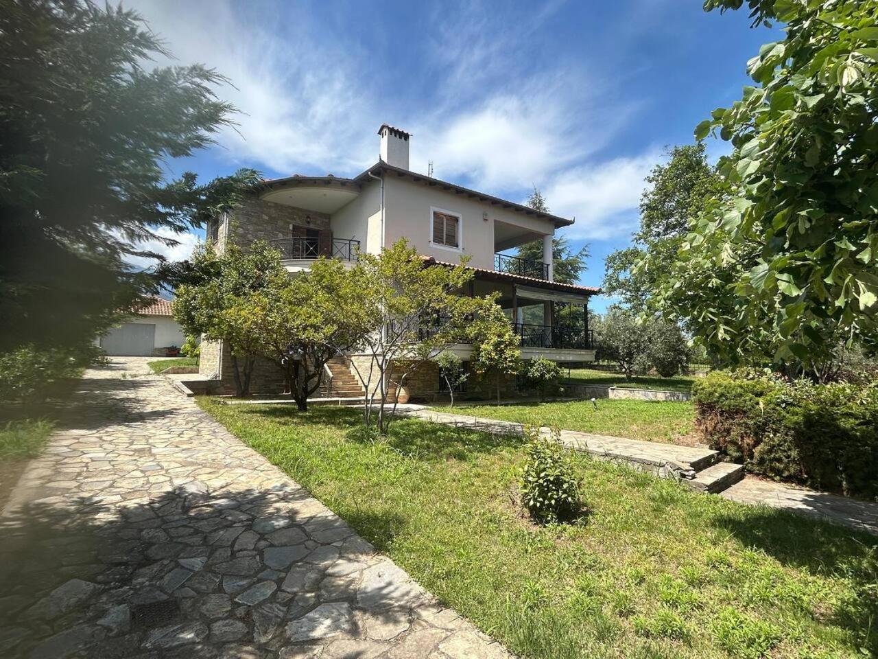 Zeusplace Karia Villa Natura Leptokarya  Exterior photo